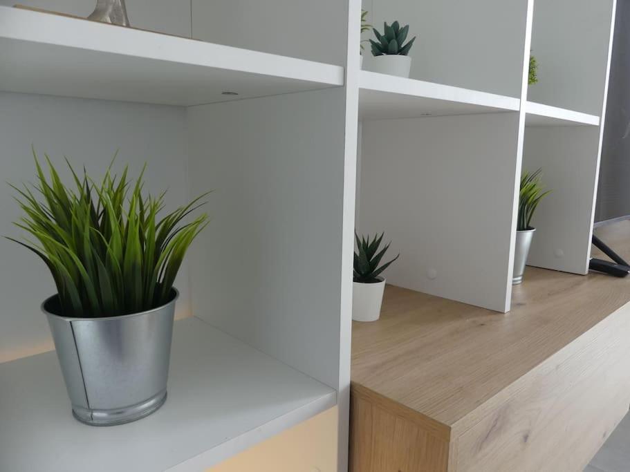 Apartmán 19 Piso Centrico, Nuevo Y Bien Equipado En La Trinidad La Laguna  Exteriér fotografie