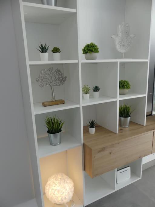 Apartmán 19 Piso Centrico, Nuevo Y Bien Equipado En La Trinidad La Laguna  Exteriér fotografie