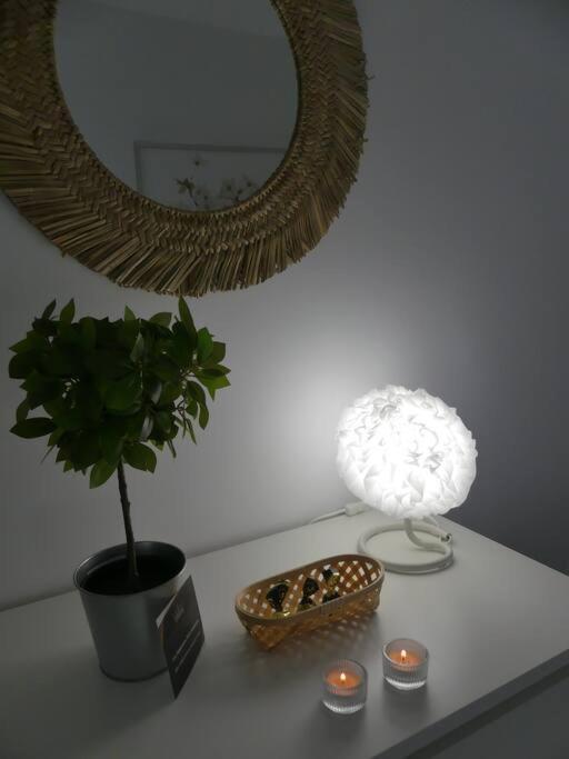 Apartmán 19 Piso Centrico, Nuevo Y Bien Equipado En La Trinidad La Laguna  Exteriér fotografie